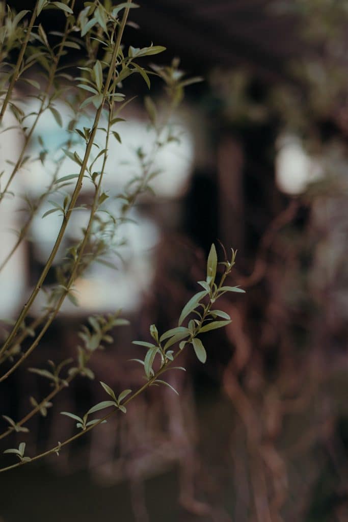 Hääkuvaaja helsinki Hääkuvaus